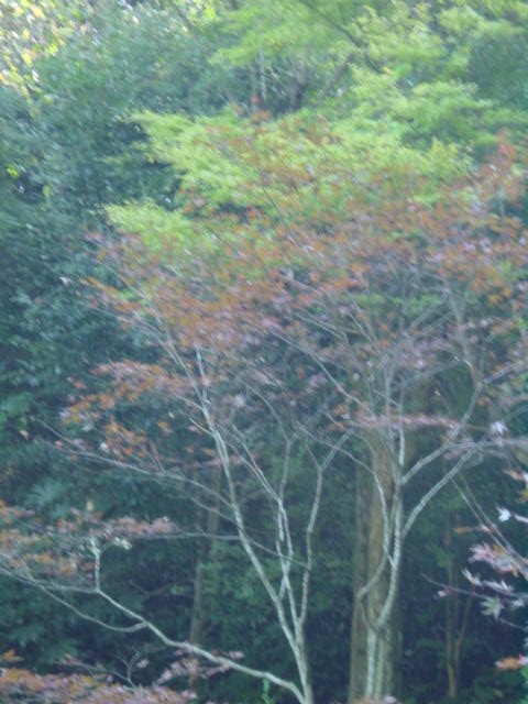 b0083902_23104847.jpg