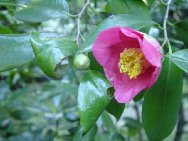 b0083902_2354135.jpg