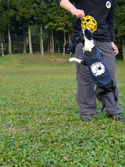 d0070702_0281637.jpg