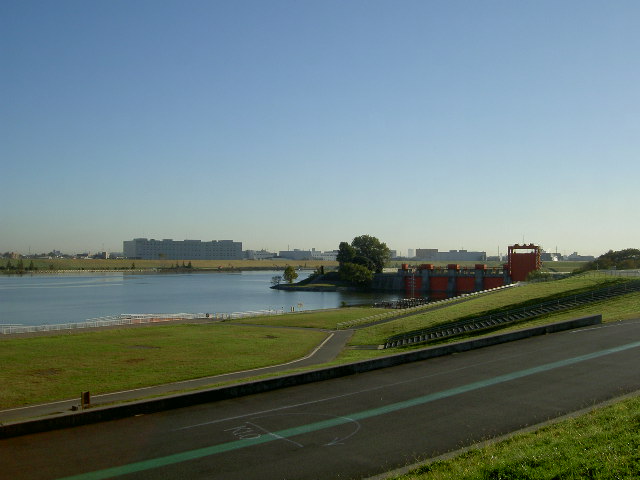 a0077616_1040389.jpg