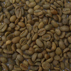 c0036617_18312183.jpg