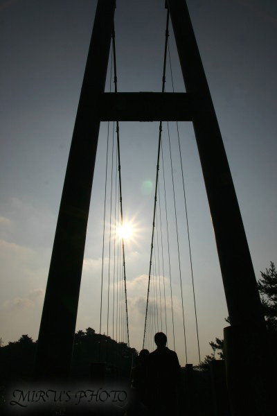 c0037519_22373774.jpg