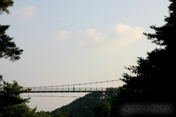 c0037519_22375856.jpg