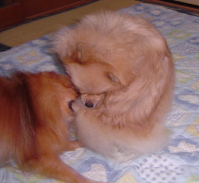 f0012924_828077.jpg