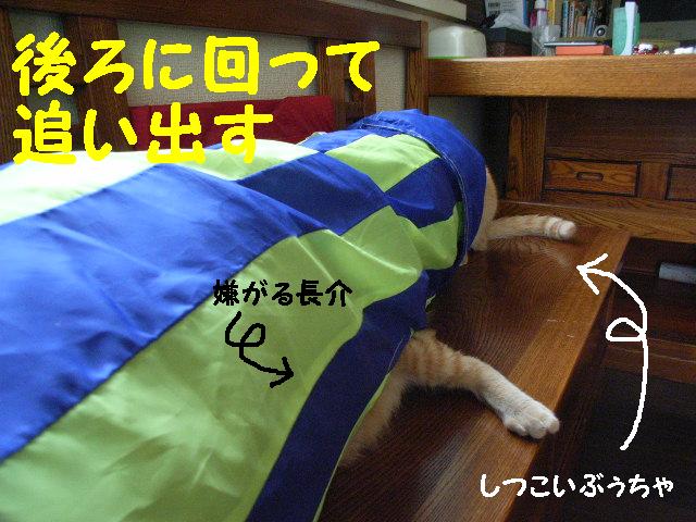 d0081025_19493091.jpg