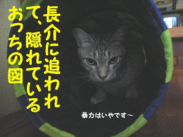 d0081025_19532362.jpg