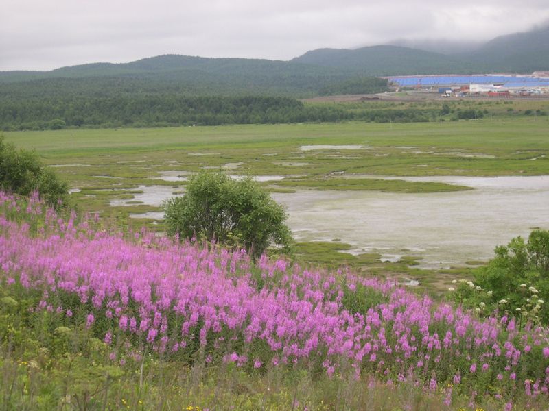 c0104227_23203247.jpg