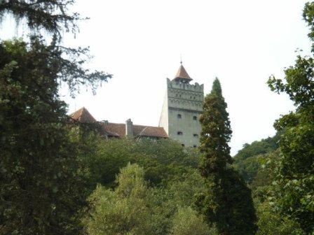 c0050232_22352967.jpg