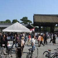 d0033734_15351214.jpg