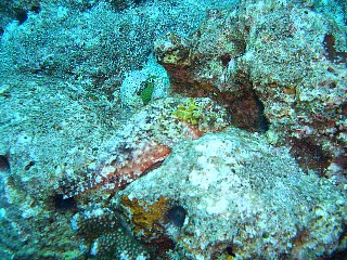 b0003235_0124666.jpg