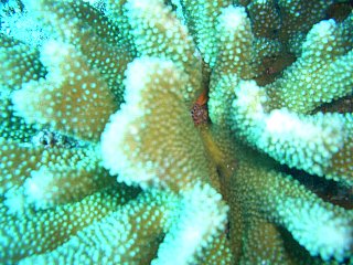 b0003235_013658.jpg
