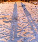 d0007037_18383636.jpg