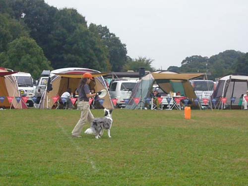 c0099841_10505678.jpg