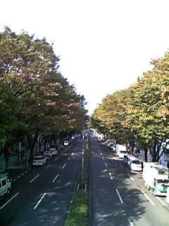e0087443_05577.jpg
