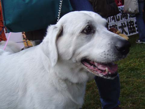 a0042044_0102883.jpg