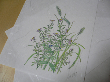 c0069048_55495.jpg
