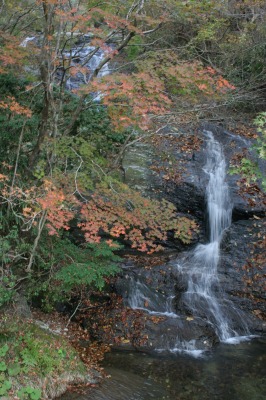 f0042548_22203129.jpg