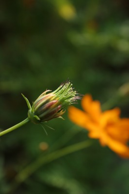 f0042548_22342738.jpg