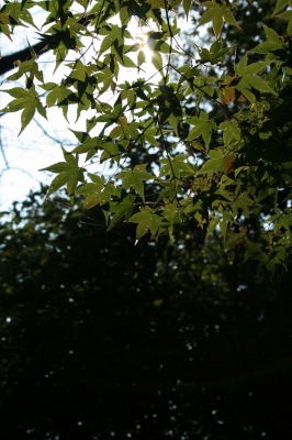 f0042548_2234587.jpg