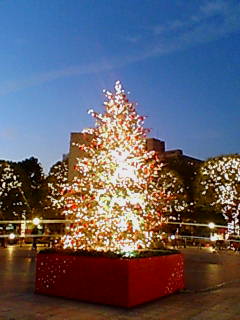 f0032049_2259555.jpg