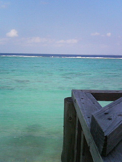 d0095555_22551835.jpg