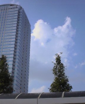 c0098756_23122370.jpg