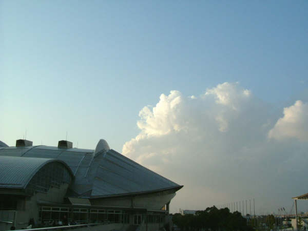 c0098756_2364453.jpg