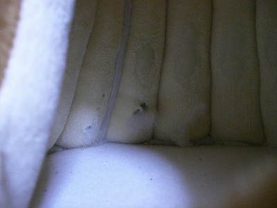 f0104057_18542251.jpg