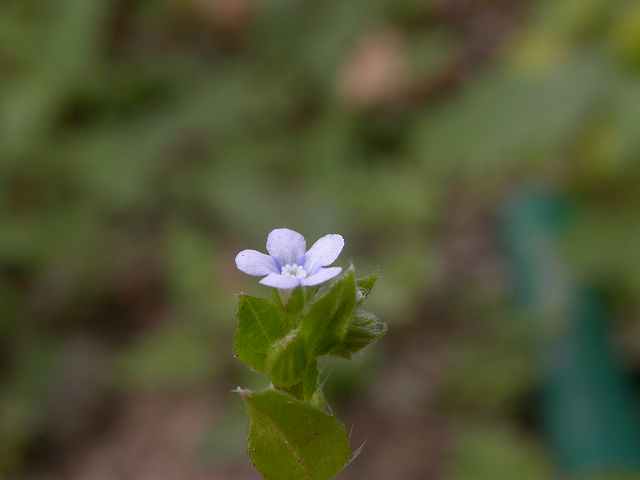 b0104861_21242436.jpg