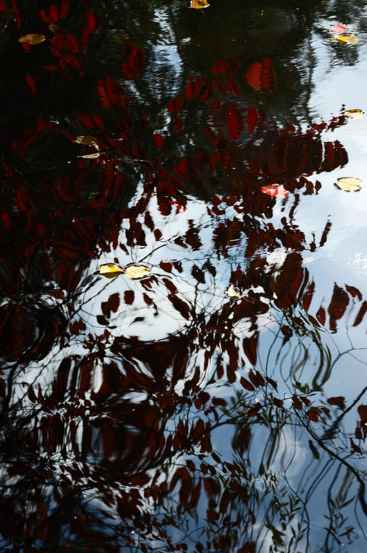 c0084666_2016797.jpg