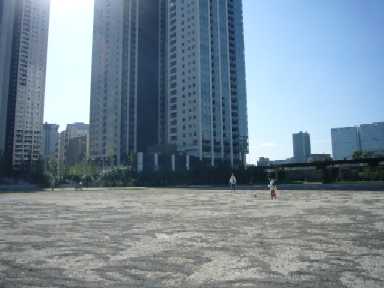b0069169_1571045.jpg