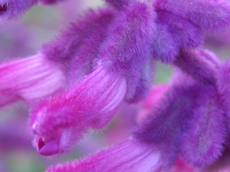 b0107769_21163939.jpg