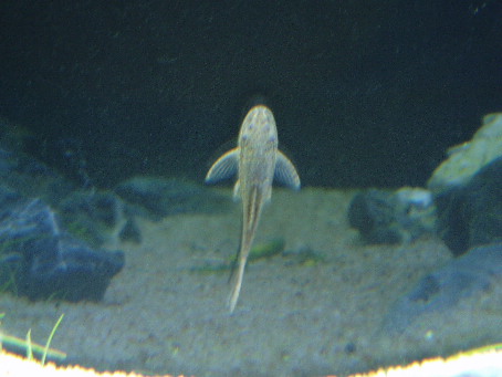 d0090170_1818597.jpg