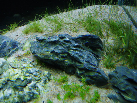 d0090170_1845098.jpg