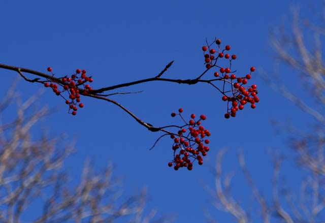 a0016775_2312538.jpg