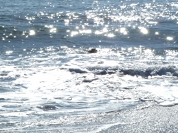 f0030875_20152522.jpg