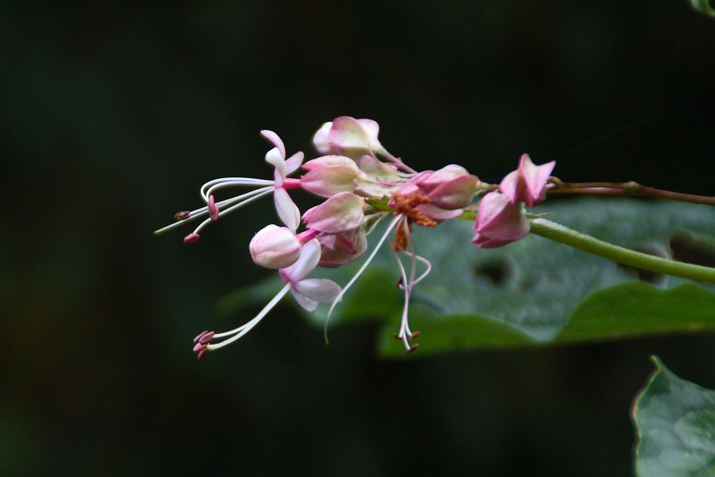 e0003177_18304150.jpg