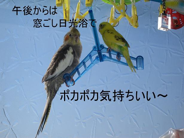 e0027078_16315310.jpg