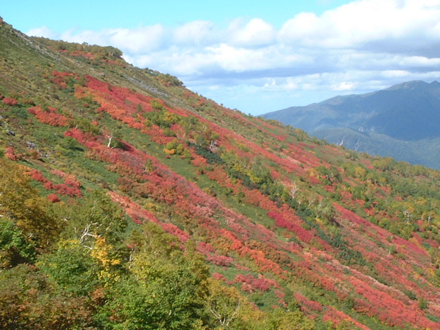 e0005280_21314665.jpg