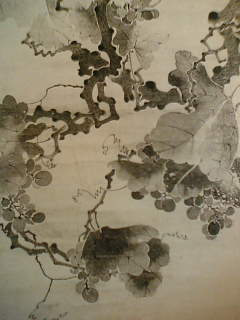 f0100480_9415032.jpg