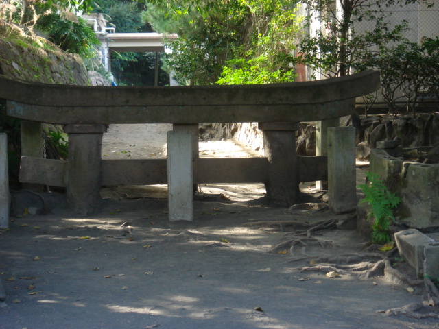 a0028482_2011216.jpg