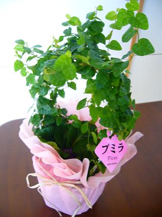 f0041984_20261445.jpg
