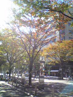 f0023791_21573619.jpg
