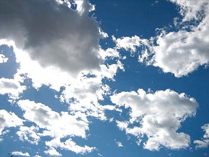 c0004193_13412966.jpg