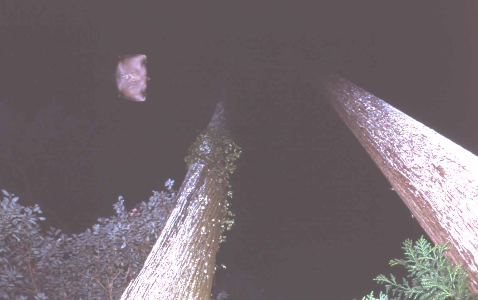 f0047593_21265587.jpg