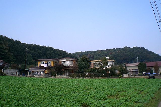 c0065797_12423660.jpg
