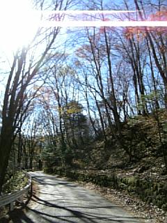 b0101300_19303573.jpg