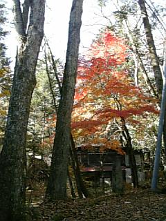 b0101300_19304588.jpg
