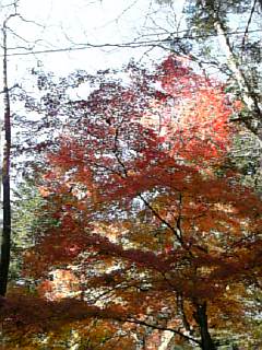 b0101300_19305962.jpg