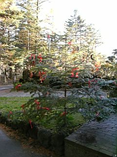 b0101300_19331695.jpg